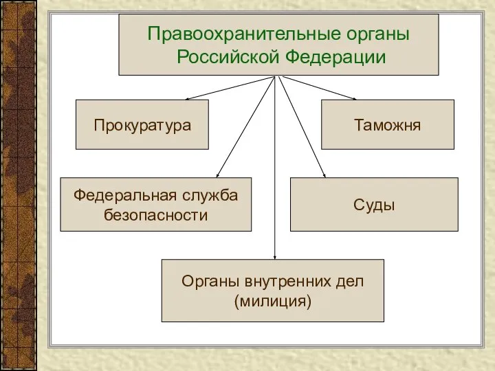 Правоохранительные органы Российской Федерации Прокуратура Таможня Федеральная служба безопасности Суды Органы внутренних дел (милиция)