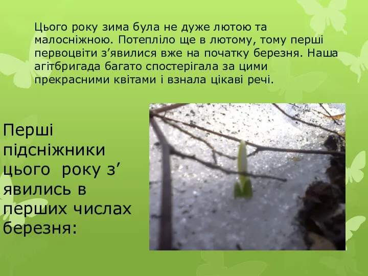 Цього року зима була не дуже лютою та малосніжною. Потепліло ще