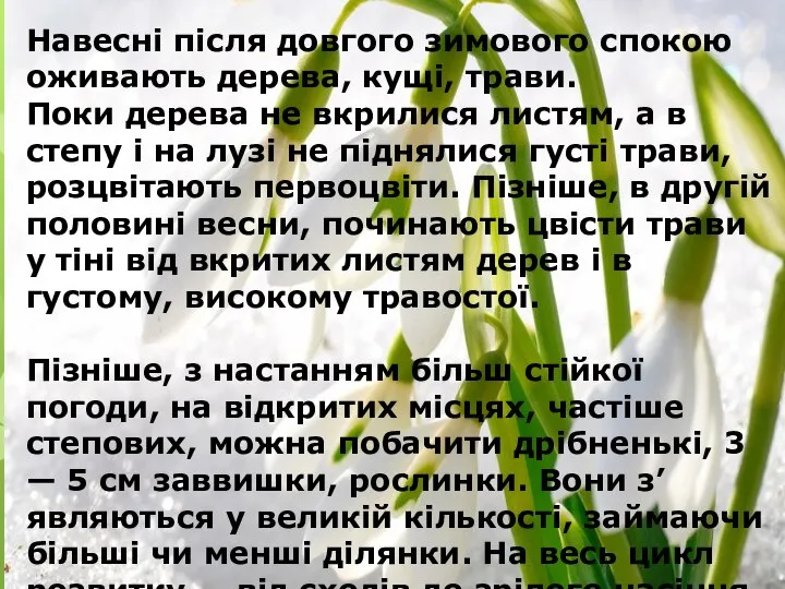 Навесні після довгого зимового спокою оживають дерева, кущі, трави. Поки дерева