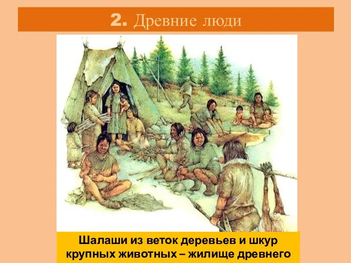 2. Древние люди Шалаши из веток деревьев и шкур крупных животных – жилище древнего человека