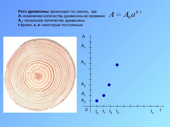 Рост древесины происходит по закону, где: A- изменение количества древесины во