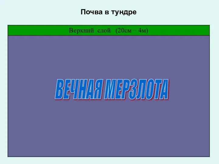 Вечная мерзлота ВЕЧНАЯ МЕРЗЛОТА Почва в тундре