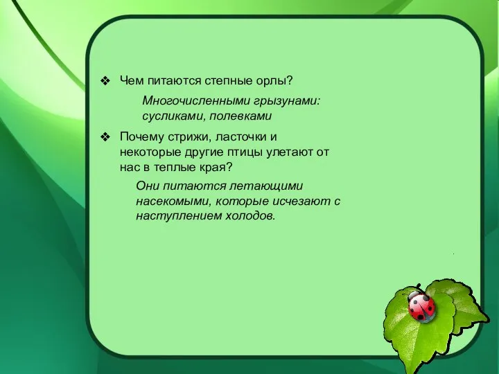 Чем питаются степные орлы? Почему стрижи, ласточки и некоторые другие птицы