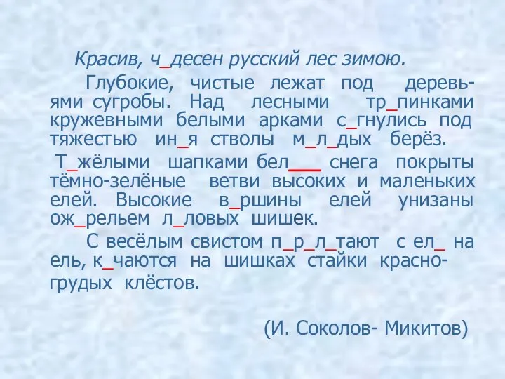 Красив, ч_десен русский лес зимою. Глубокие, чистые лежат под деревь-ями сугробы.