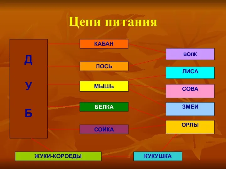 Цепи питания