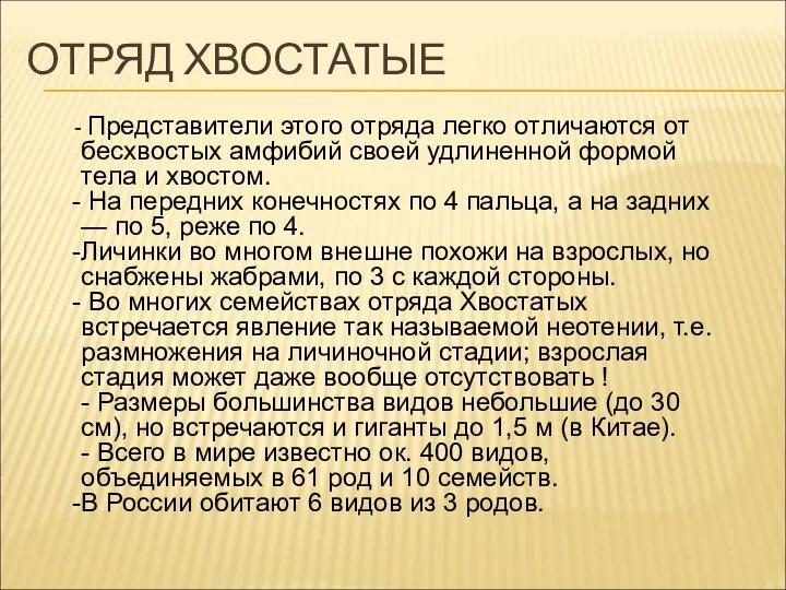 ОТРЯД ХВОСТАТЫЕ Представители этого отряда легко отличаются от бесхвостых амфибий своей