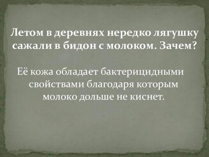 Её кожа обладает бактерицидными свойствами благодаря которым молоко дольше не киснет.