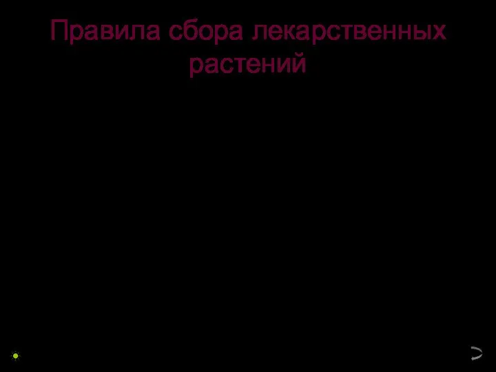 Правила сбора лекарственных растений Собирайте лекарственные травы в начале их цветения