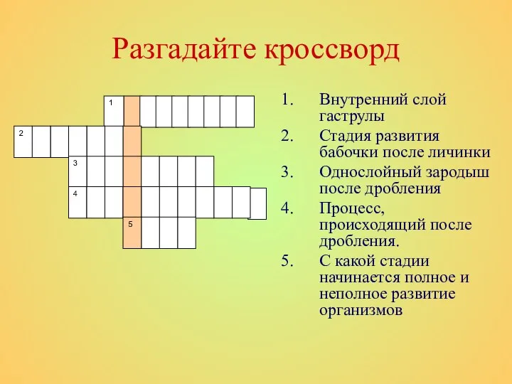 Разгадайте кроссворд Внутренний слой гаструлы Стадия развития бабочки после личинки Однослойный