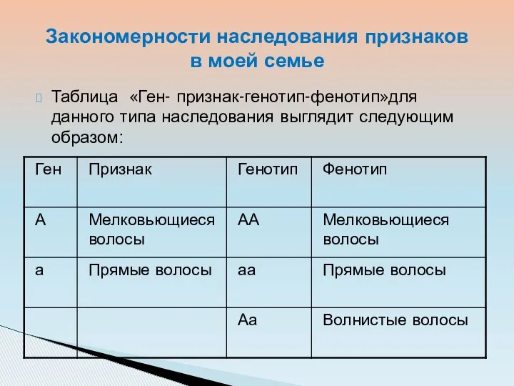 Таблица «Ген- признак-генотип-фенотип»для данного типа наследования выглядит следующим образом: Закономерности наследования признаков в моей семье