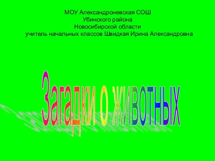 МОУ Александроневская СОШ Убинского района Новосибирской области учитель начальных классов Швидкая Ирина Александровна Загадки о животных