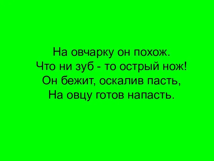 На овчарку он похож. Что ни зуб - то острый нож!