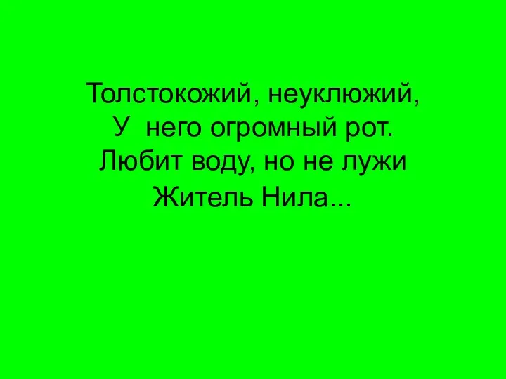 Толстокожий, неуклюжий, У него огромный рот. Любит воду, но не лужи Житель Нила...