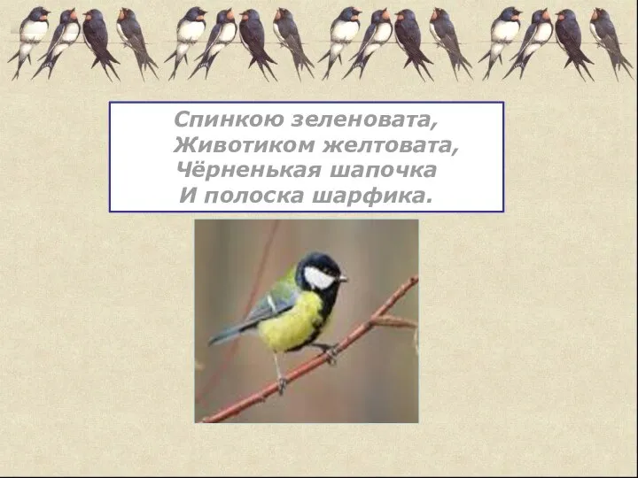 Спинкою зеленовата, Животиком желтовата, Чёрненькая шапочка И полоска шарфика.