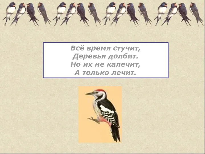 Всё время стучит, Деревья долбит. Но их не калечит, А только лечит.