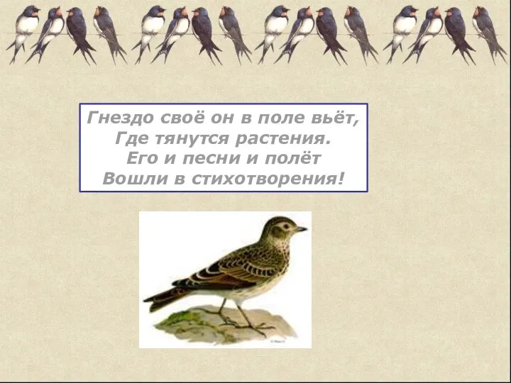 Гнездо своё он в поле вьёт, Где тянутся растения. Его и