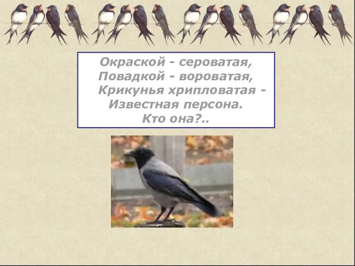 Окраской - сероватая, Повадкой - вороватая, Крикунья хрипловатая - Известная персона. Кто она?..