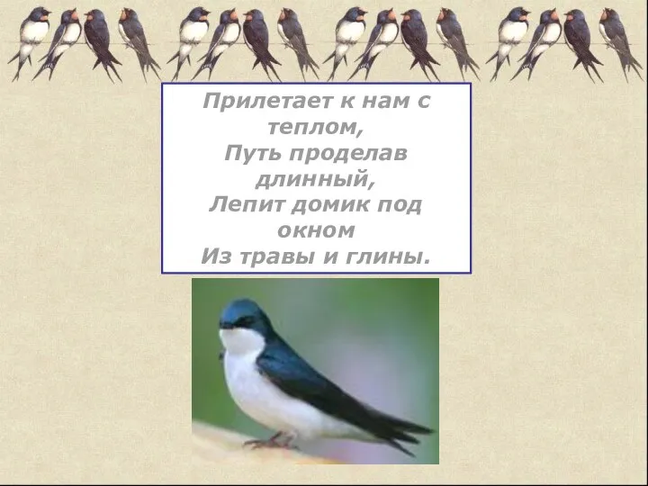 Прилетает к нам с теплом, Путь проделав длинный, Лепит домик под окном Из травы и глины.