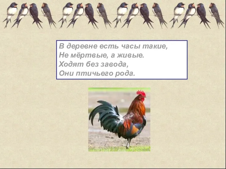 В деревне есть часы такие, Не мёртвые, а живые. Ходят без завода, Они птичьего рода.