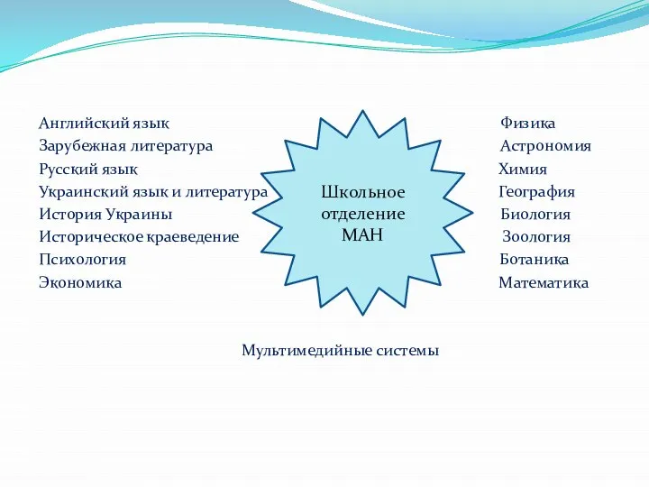 Английский язык Физика Зарубежная литература Астрономия Русский язык Химия Украинский язык