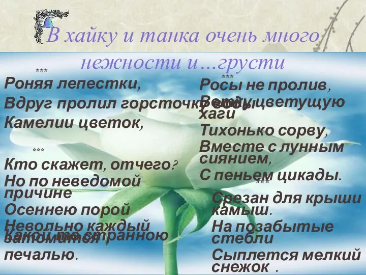 В хайку и танка очень много нежности и…грусти Роняя лепестки, Вдруг