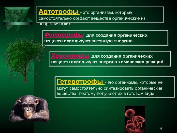 Автотрофы - это организмы, которые самостоятельно создают вещества органические из неорганических.