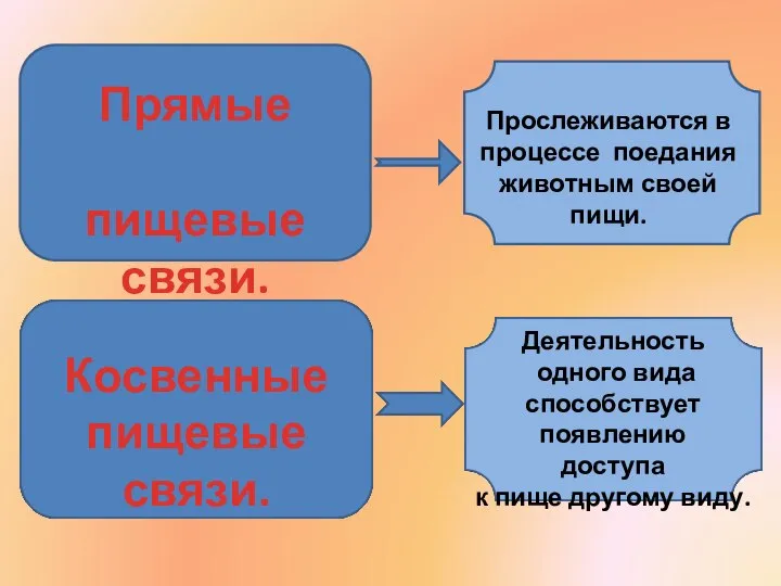 Прямые пищевые связи. Прослеживаются в процессе поедания животным своей пищи. Косвенные