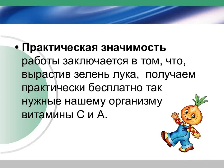 Практическая значимость работы заключается в том, что, вырастив зелень лука, получаем