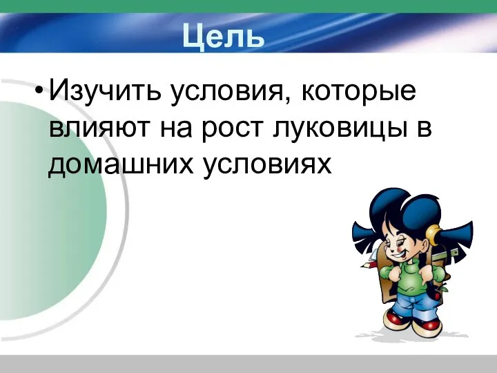 Цель Изучить условия, которые влияют на рост луковицы в домашних условиях