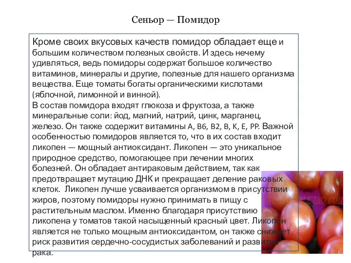 Сеньор — Помидор Кроме своих вкусовых качеств помидор обладает еще и