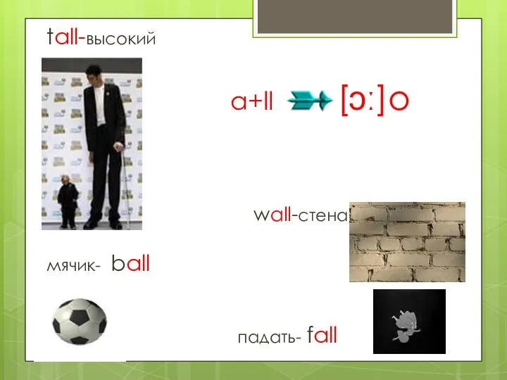 a+ll [ɔː]о tall-высокий wall-стена мячик- ball падать- fall