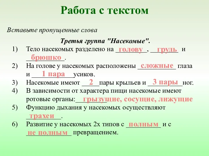 Третья группа "Насекомые". Тело насекомых разделено на _________, ________ и ___________.