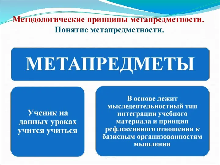 Методологические принципы метапредметности. Понятие метапредметности.