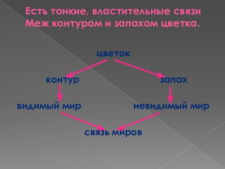 Есть тонкие, властительные связи Меж контуром и запахом цветка. цветок контур