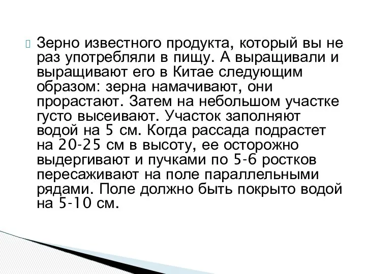 Зерно известного продукта, который вы не раз употребляли в пищу. А