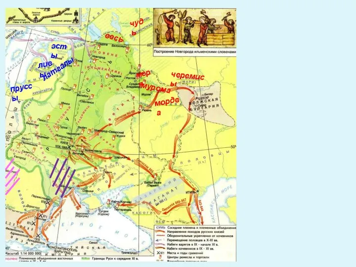 чудь меря весь мурома мордва черемисы ливы пруссы латгалы эсты