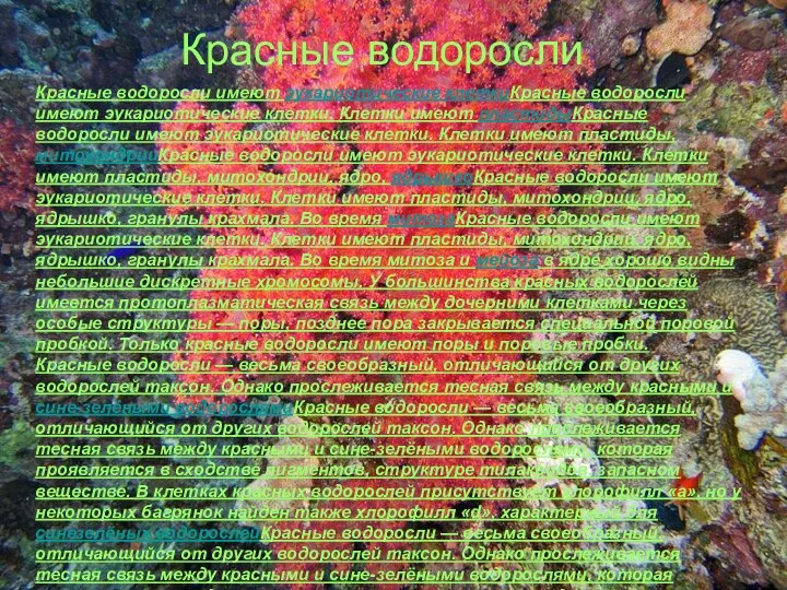 Красные водоросли Красные водоросли имеют эукариотические клеткиКрасные водоросли имеют эукариотические клетки.