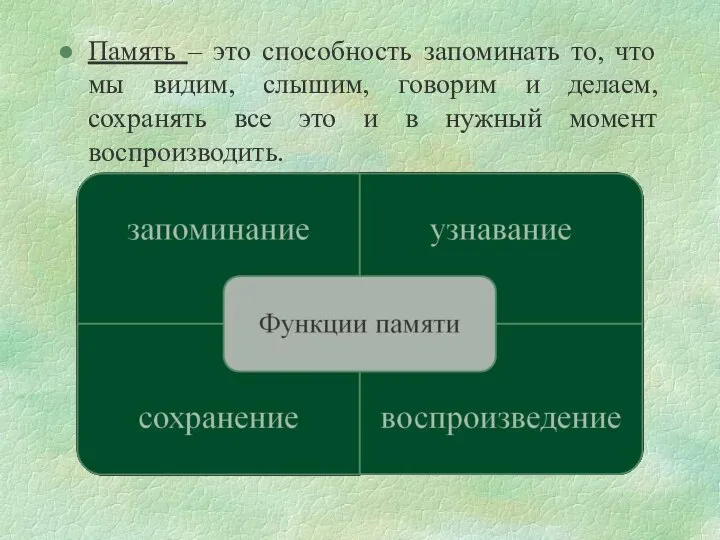 Память – это способность запоминать то, что мы видим, слышим, говорим