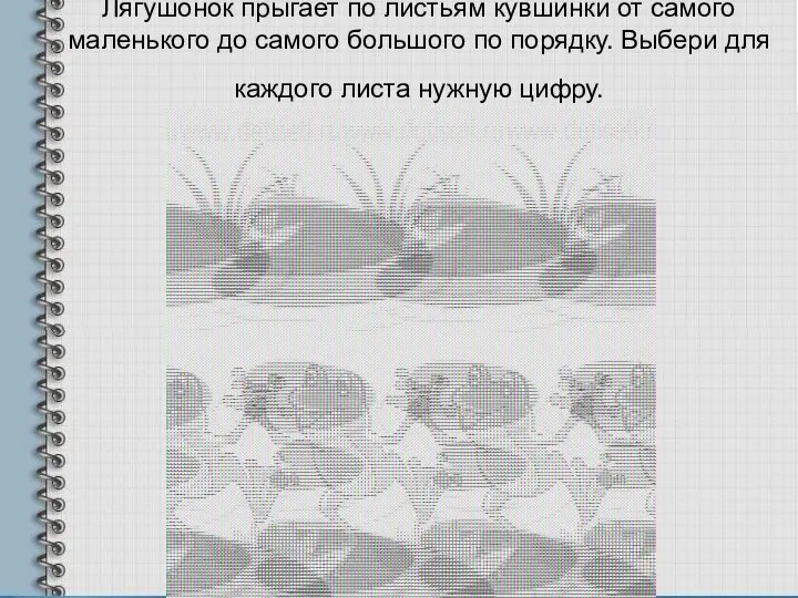 Лягушонок прыгает по листьям кувшинки от самого маленького до самого большого