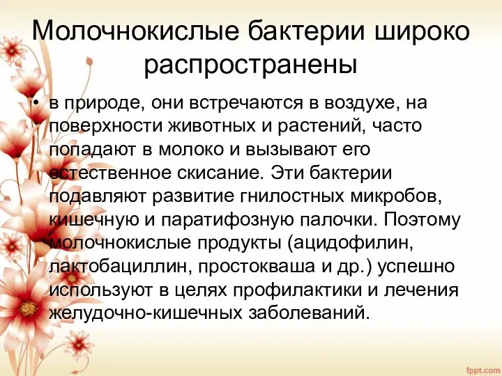 Молочнокислые бактерии широко распространены в природе, они встречаются в воздухе, на