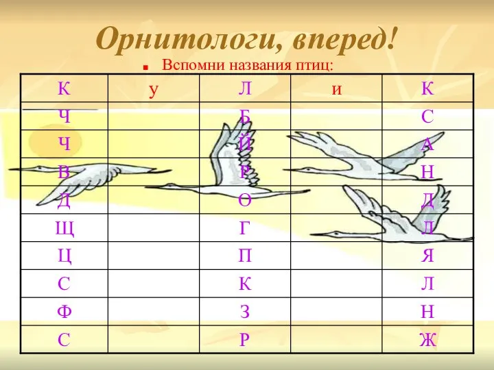 Орнитологи, вперед! Вспомни названия птиц: