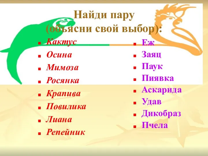 Найди пару (объясни свой выбор): Кактус Осина Мимоза Росянка Крапива Повилика