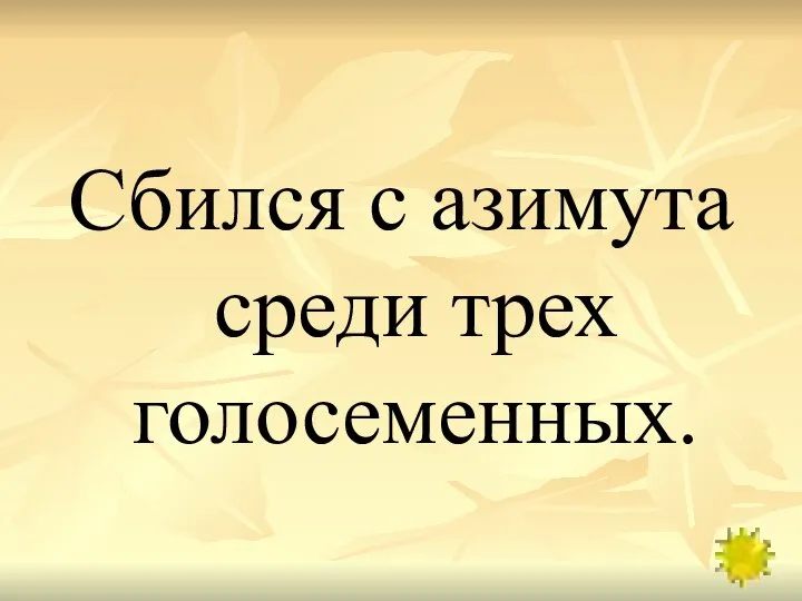 Сбился с азимута среди трех голосеменных.