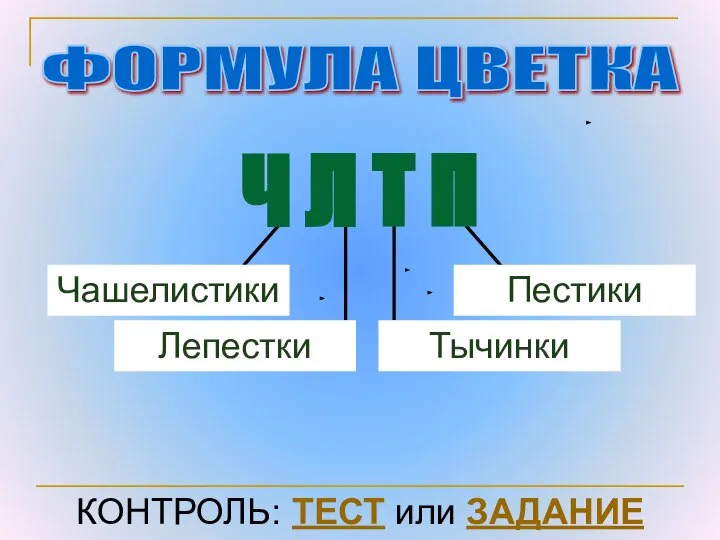 ФОРМУЛА ЦВЕТКА Чашелистики Пестики Тычинки Ч Л Т П Лепестки КОНТРОЛЬ: ТЕСТ или ЗАДАНИЕ