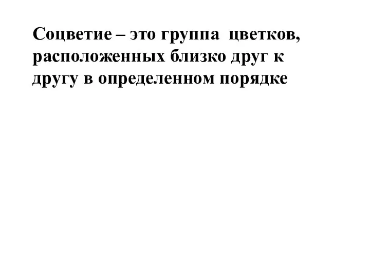 Соцветие – это группа цветков, расположенных близко друг к другу в определенном порядке