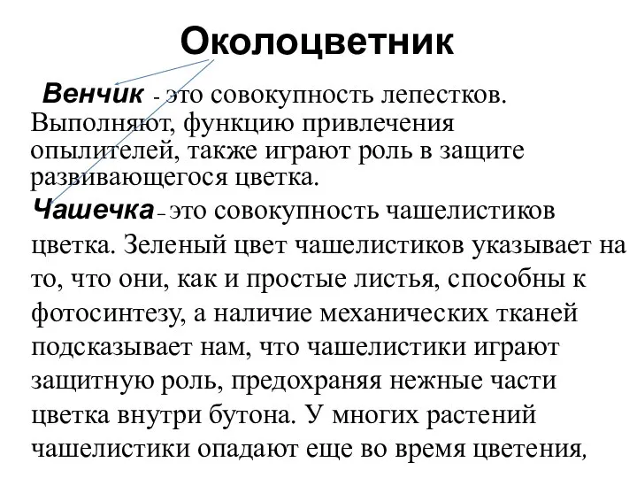 Околоцветник Венчик - это совокупность лепестков. Выполняют, функцию привлечения опылителей, также