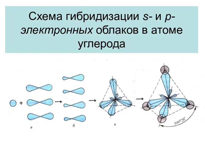 Схема гибридизации s- и p-электронных облаков в атоме углерода