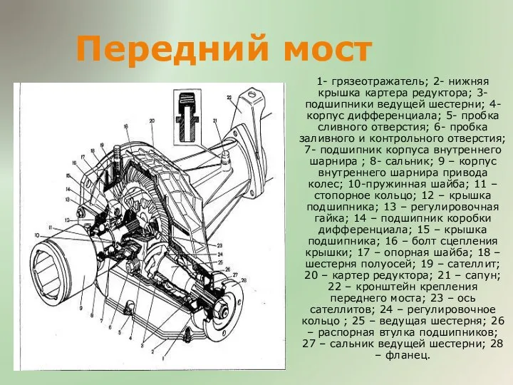 Передний мост 1- грязеотражатель; 2- нижняя крышка картера редуктора; 3- подшипники