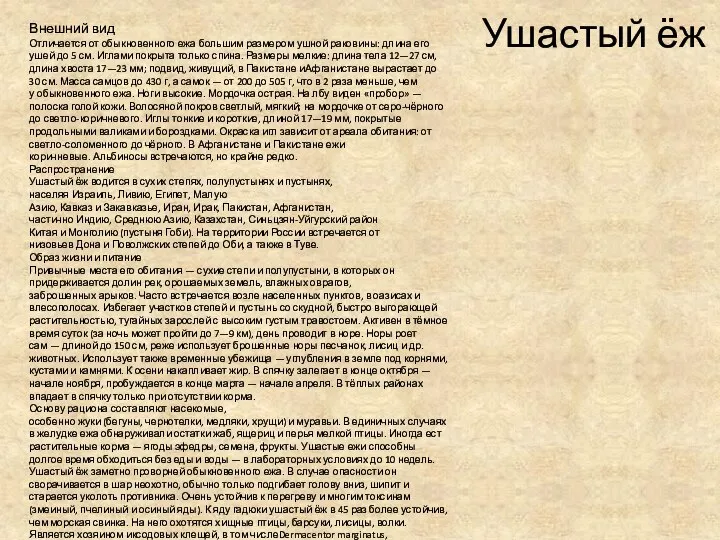 Ушастый ёж Внешний вид Отличается от обыкновенного ежа большим размером ушной