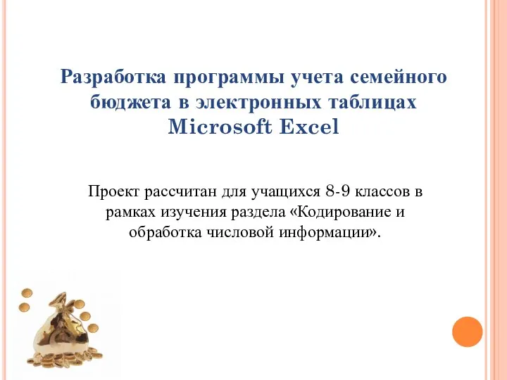 Разработка программы учета семейного бюджета в электронных таблицах Microsoft Excel Проект